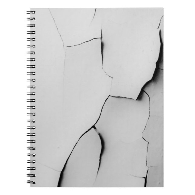 Cracked Spiral Notebook (Front)