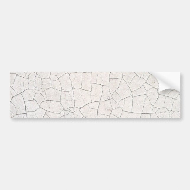 Cracked Surface Bumper Sticker (Front)