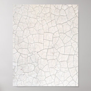 Cracked Surface Poster