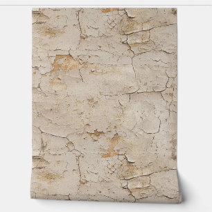 Cracked Textured Painted Stucco Wall