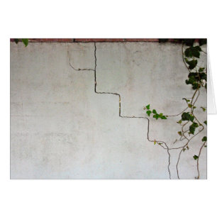 Cracked with Vine