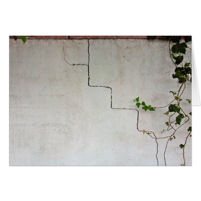 Cracked with Vine (Front Horizontal)