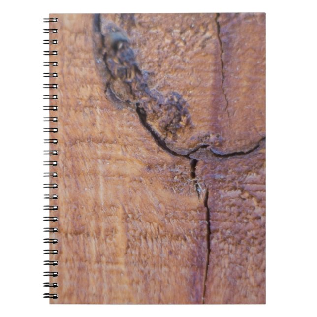 Cracked Wood Notebook (Front)