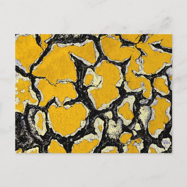 Cracked Yellow Road Paint Postcard (Front)