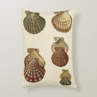 Crackled Antique Shells