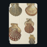 Crackled Antique Shells iPad Mini Cover<br><div class="desc">Artist Denis Diderot is talented and known for his great sea life images. In this vivid image, he captures four crackled Conch seashells in their most natural style. Conches are often crackled like these four seashells and in a sepia looking tone. Get your seashell product today and you can picture...</div>