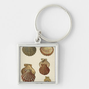 Crackled Antique Shells Key Ring