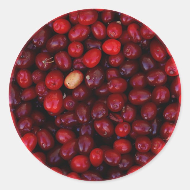 Cranberries Classic Round Sticker (Front)