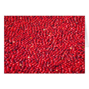 Cranberries Festive Red