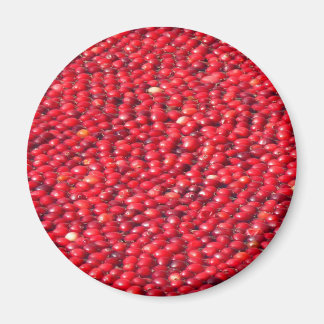 Cranberries Festive Red Magnet