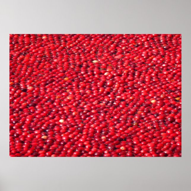 Cranberries Festive Red Poster (Front)