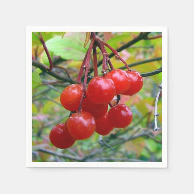 Cranberries Napkin (Front)