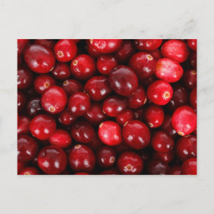 Cranberries Postcard