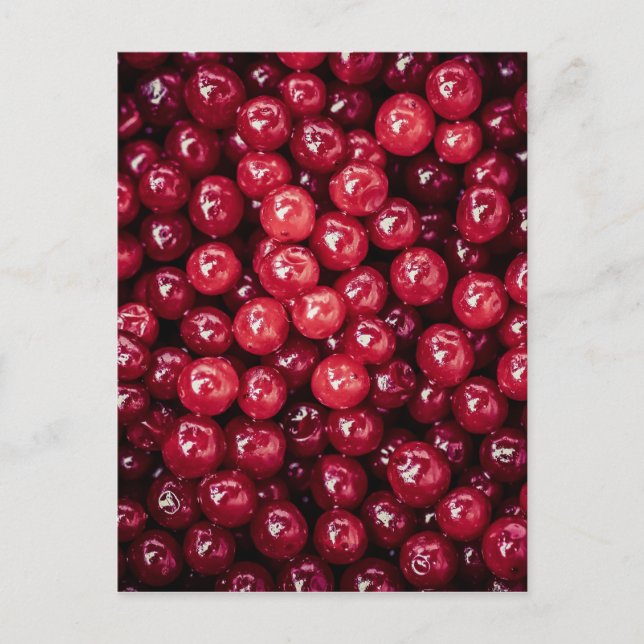 Cranberries Postcard (Front)