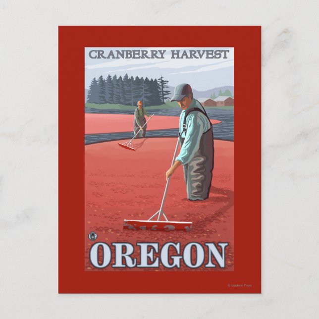 Cranberry Bogs Harvest Vintage Travel Poster Postcard (Front)