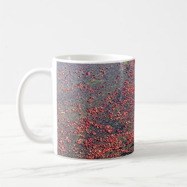 Cranberry Farm, Long Beach, Washington Coffee Mug (Left)