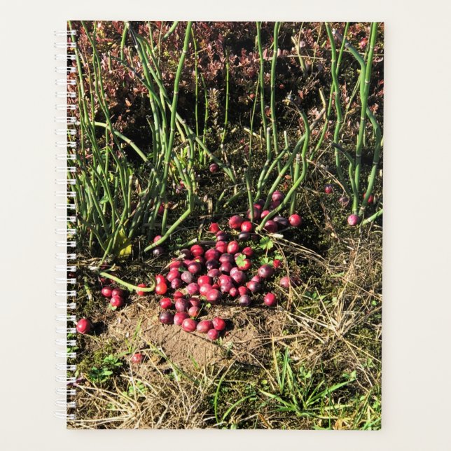 Cranberry Farm, Long Beach, Washington Planner (Front)