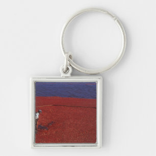 Cranberry Harvest, Middleboro, MA, USA Key Ring