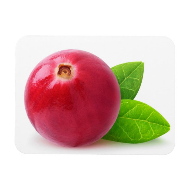 Cranberry Magnet (Horizontal)
