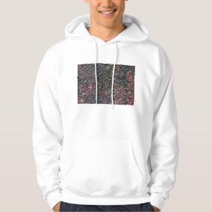 cranberry stir hoodie