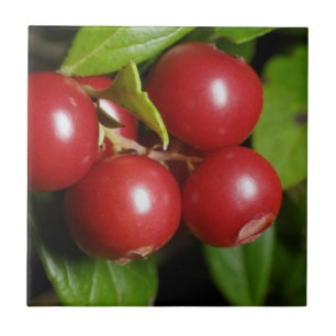 Cranberry Tile