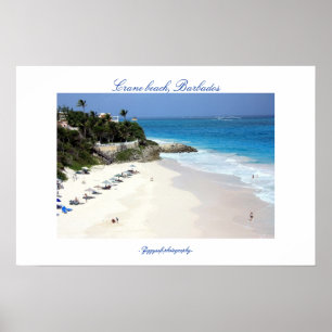 Crane beach poster