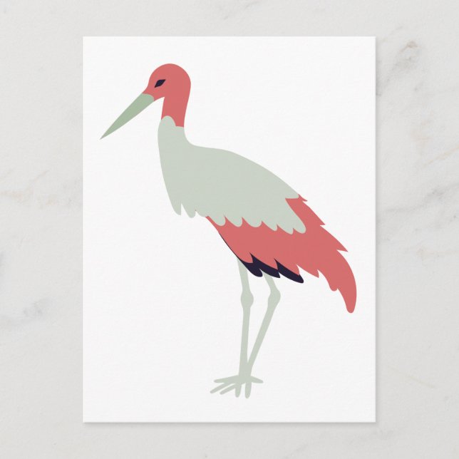 Crane Bird Postcard (Front)