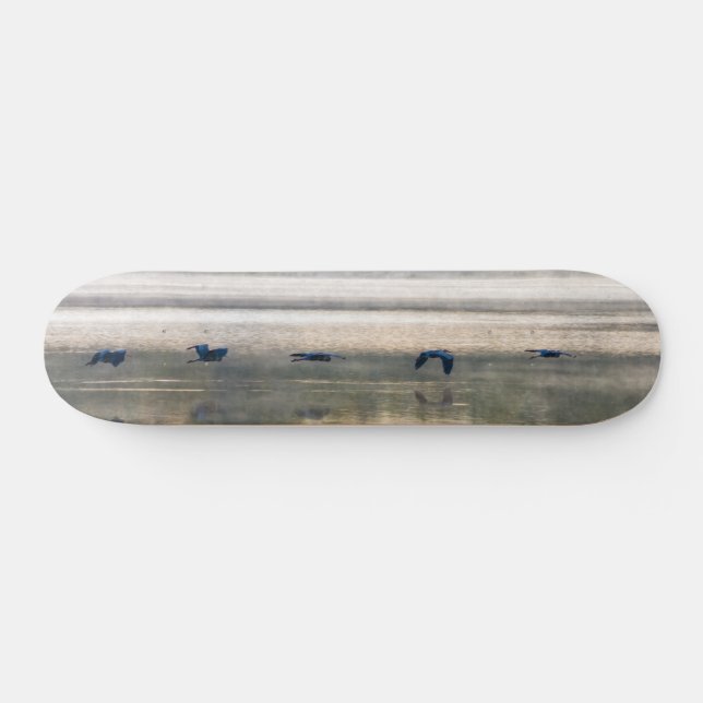 Crane Flight Painterly Skateboard (Horz)