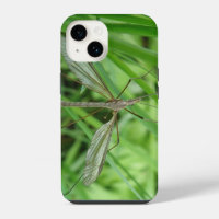 Crane Fly