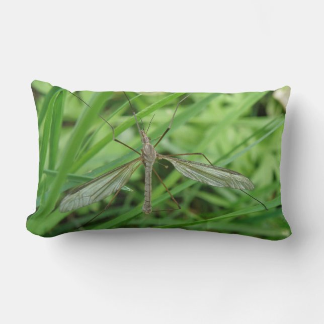 Crane Fly Pillow (Front)