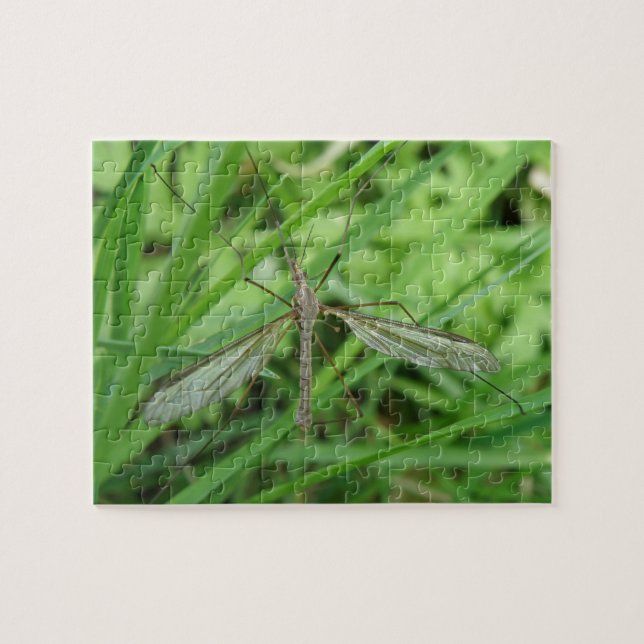 Crane Fly Puzzle (Horizontal)