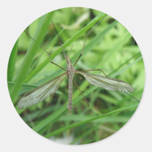 Crane Fly Sticker
