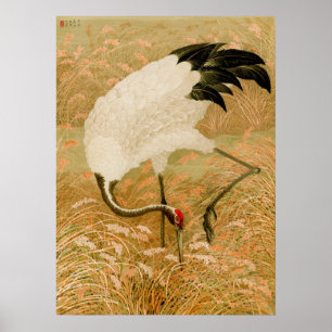 Crane in Rice Field Poster