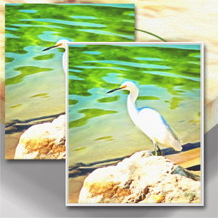 Crane On The Mismaloya River 0335 Art Canvas Print