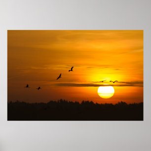 Cranes at sunrise poster