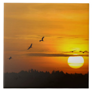 Cranes at sunrise tile