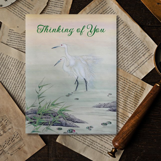 Cranes in Chinese River  Postcard (Creator Uploaded)