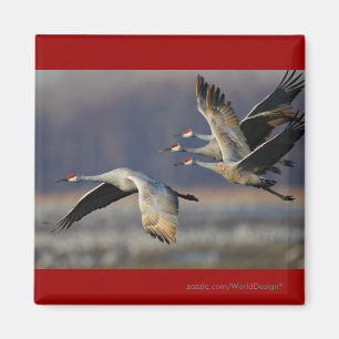 Cranes Magnet