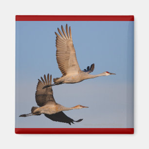 Cranes Magnet