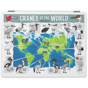 Cranes of the World iPad Cover