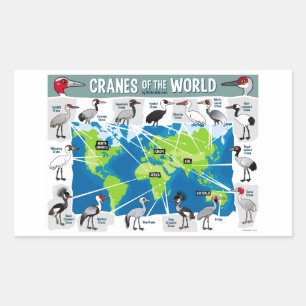 Cranes of the World Rectangular Sticker