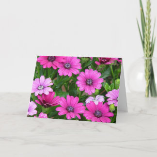 Cranesbill Geranium (Pink Flowers) Greeting Card