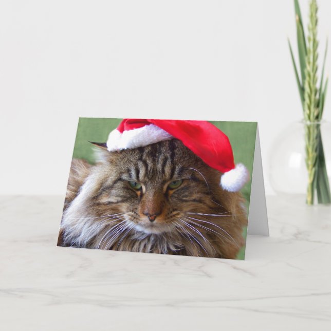 Cranky Christmas Cat Card (Front)