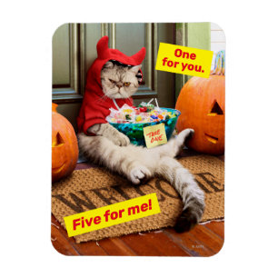 Cranky Devil Cat Magnet