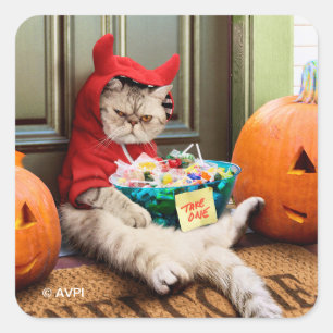 Cranky Devil Cat Square Sticker