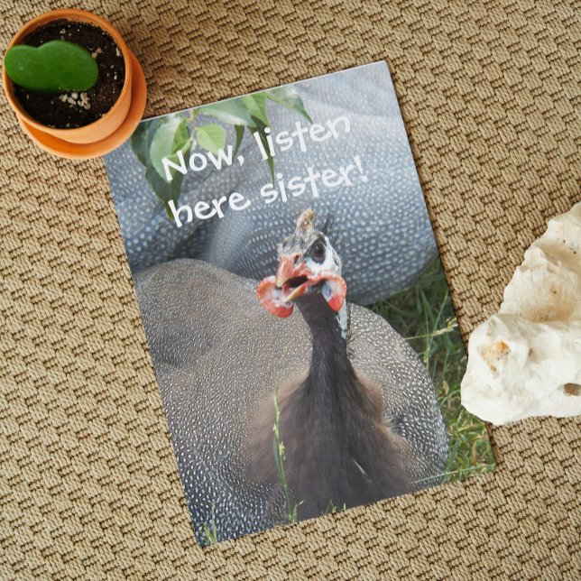 Cranky Guinea Fowl Photo Funny Birthday Card (In Situ)