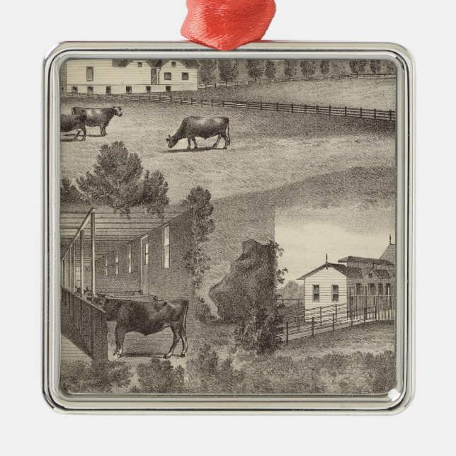 Cranmoor Farm, Toms River, NJ Metal Tree Decoration (Front)