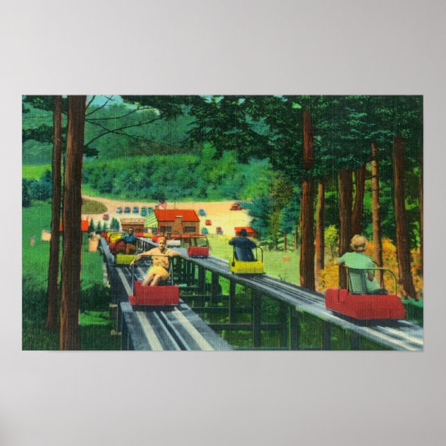 Cranmore Mountain Ski-Mobile in Summertime Poster (Front)