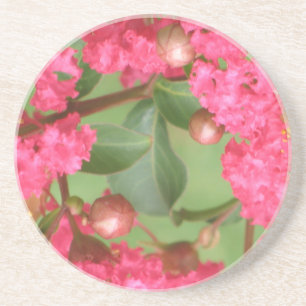 Crape Myrtles Sandstone Coasters