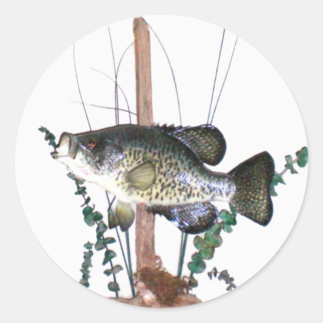 Crappie Mount Classic Round Sticker (Front)